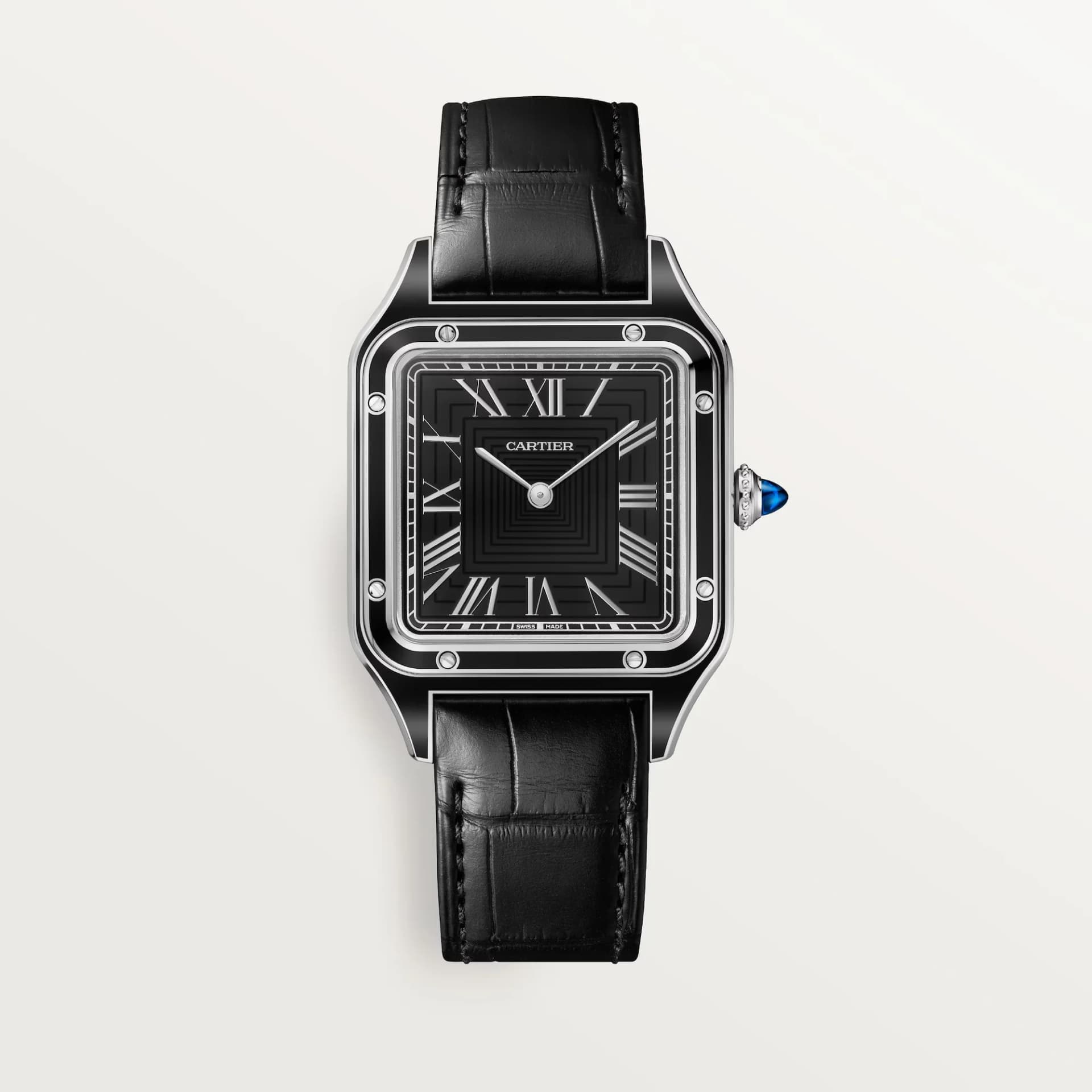 Cartier Santos-Dumont Large Model – Çelik, Lake