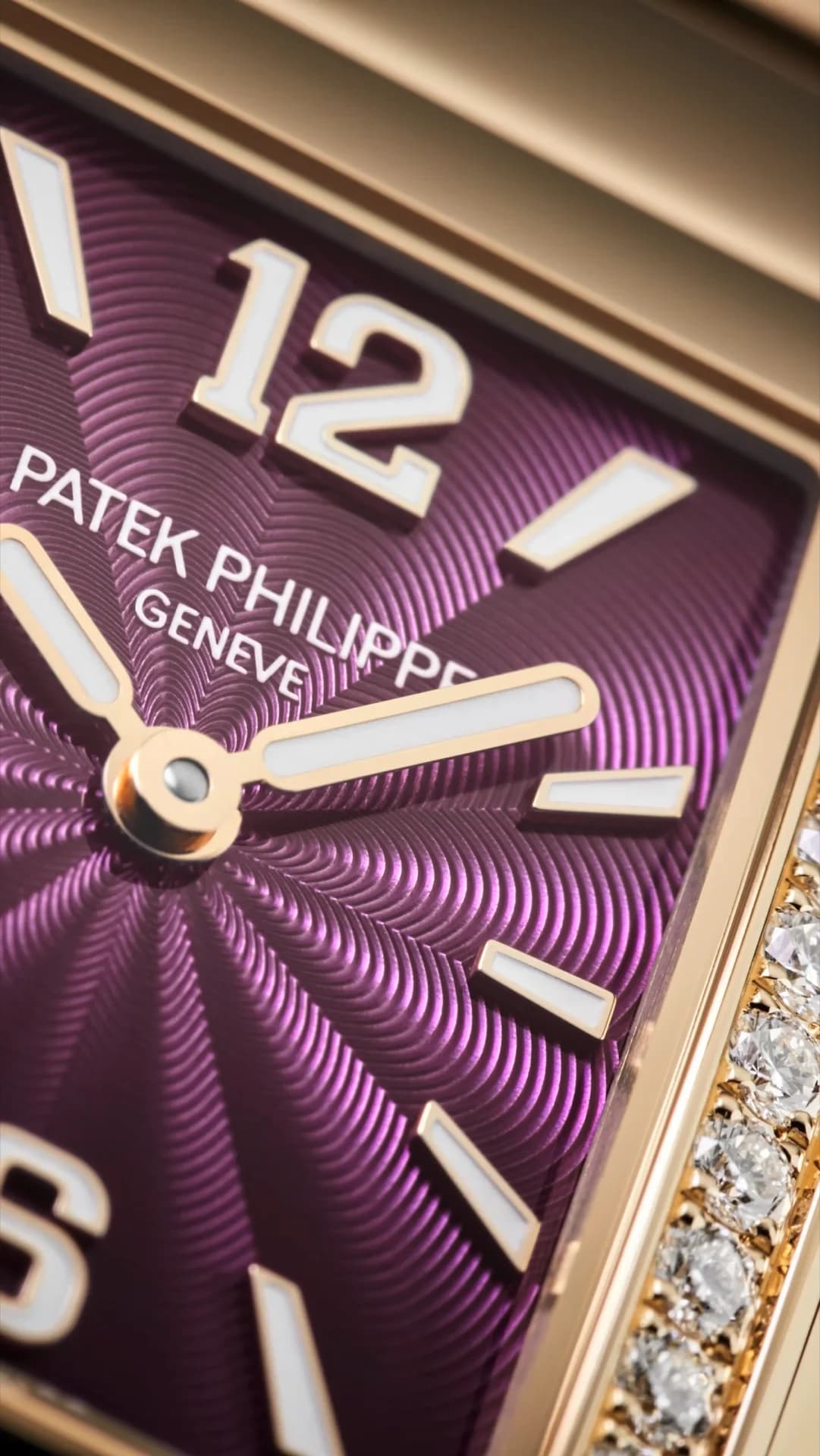 Patek Philippe Twenty~4 4910/1201R-010 10