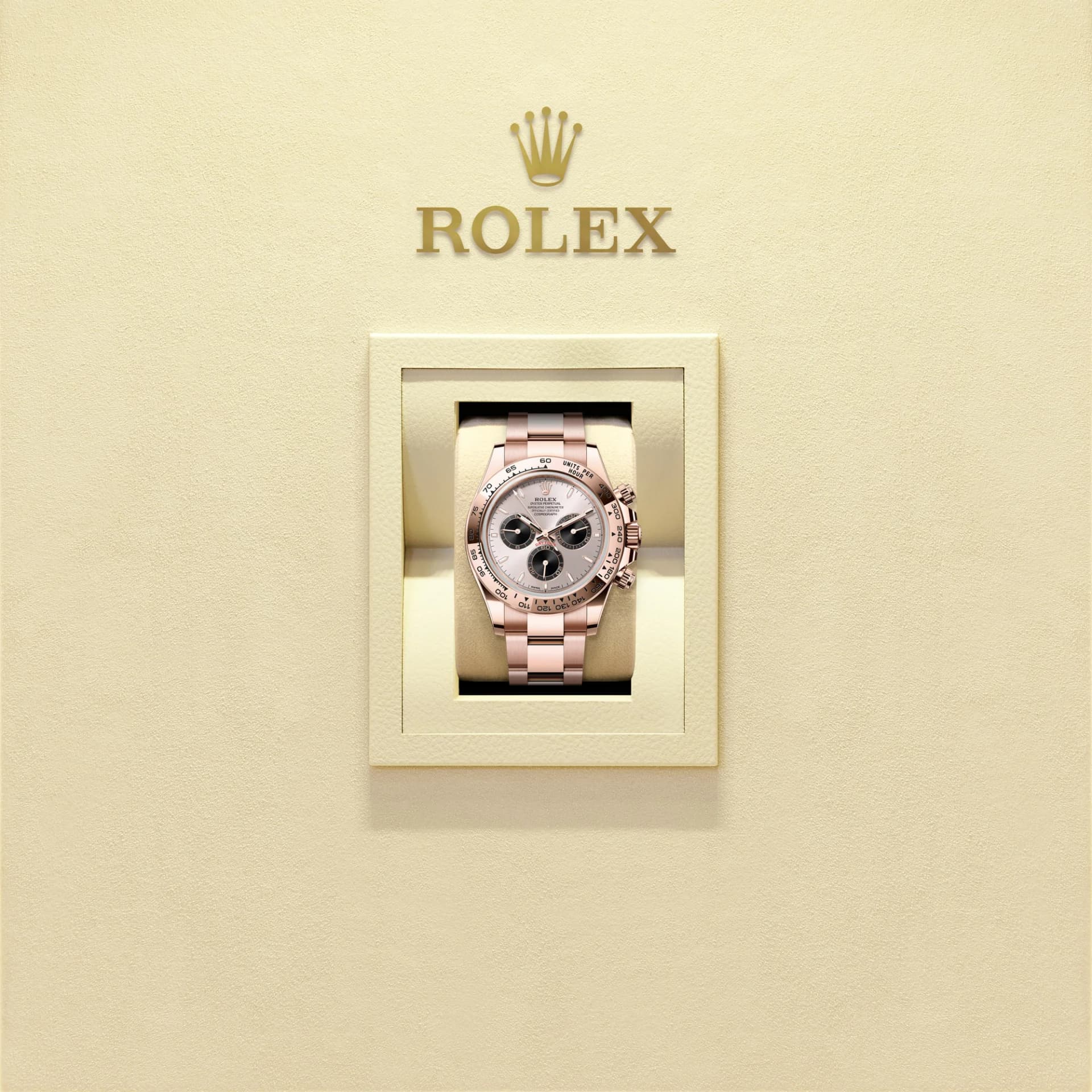 Rolex Cosmograph Daytona 2