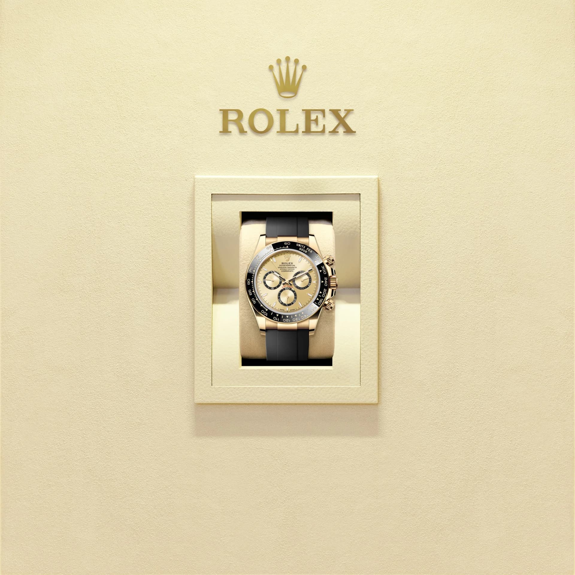 Rolex Cosmograph Daytona 2