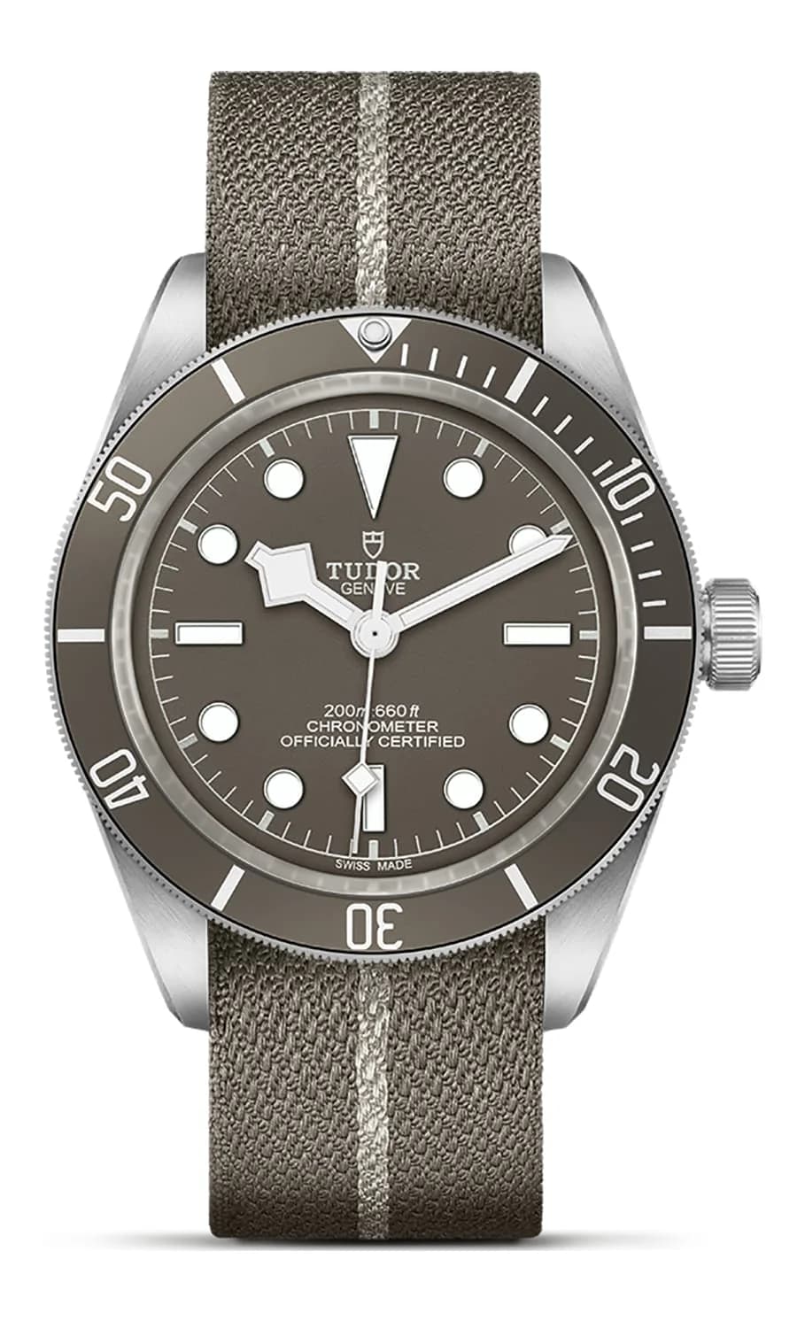 Tudor Black Bay 58 925 – 39 mm 925 Silver, Taupe Dial, Taupe Fabric Strap 1